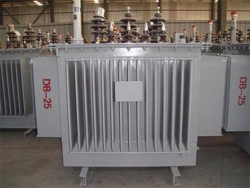 湖南S13-100KVA/10KV/0.4KV油浸式变压器